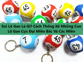 Giải đáp thắc mắc về soi lô gan là gì cho người mới