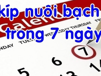 Nuôi bạch thủ trong khung 7 ngày bí quyết chơi không nên bỏ qua